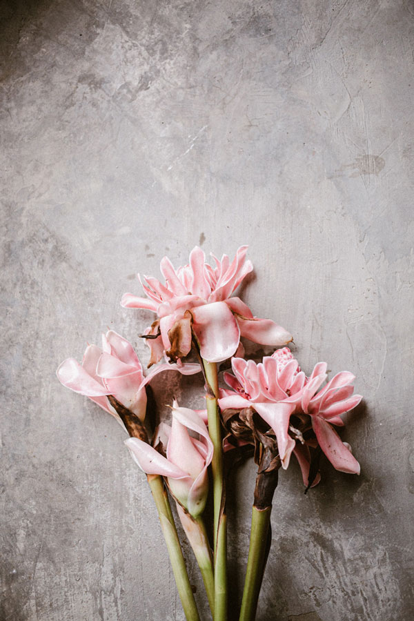 about-bunga-kantan-3