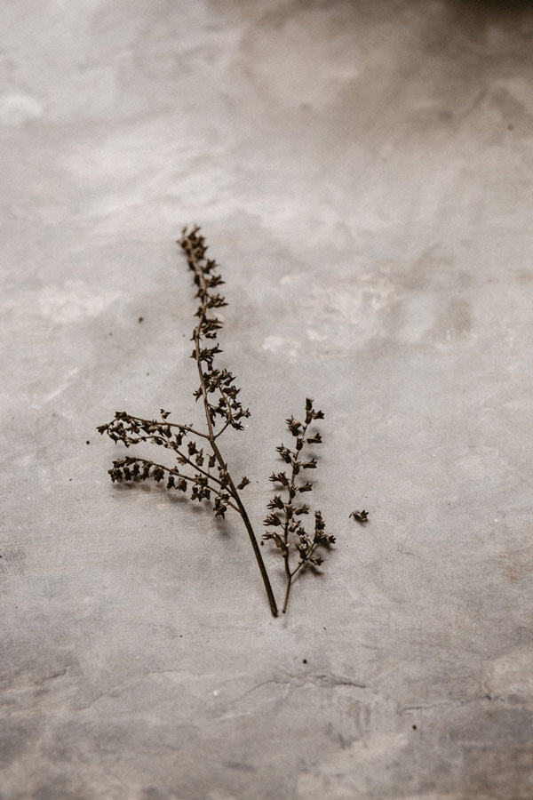 artist-residency-dry-twig