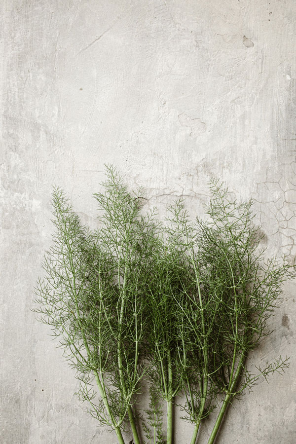 fresh-produce-fennel